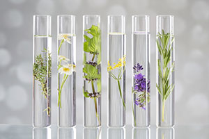 Essential oils (O - Z)