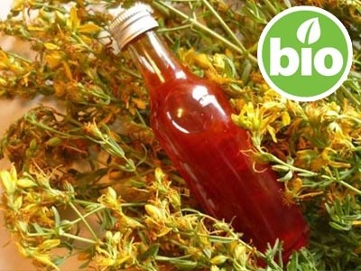 Organic St John’s Wort Oil in Olive Oil