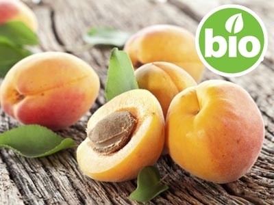 Organic Apricot Kernel Oil - 1st Pressing