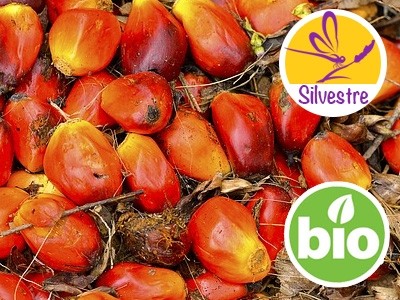 Organic Deodorised Palm Oil