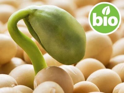 Organic Virgin Soya Oil, 1st Pressed