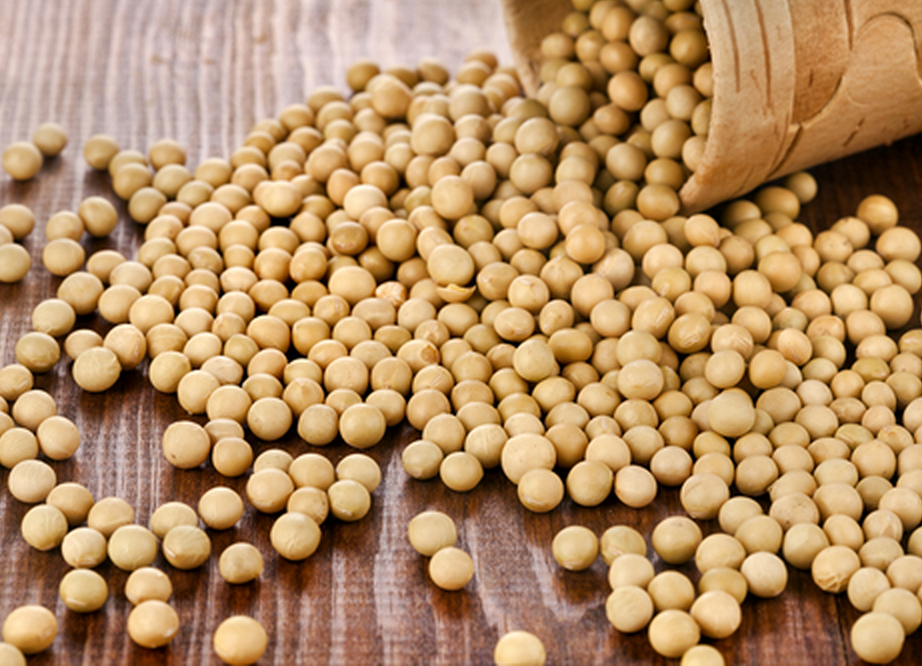 Soya Oil