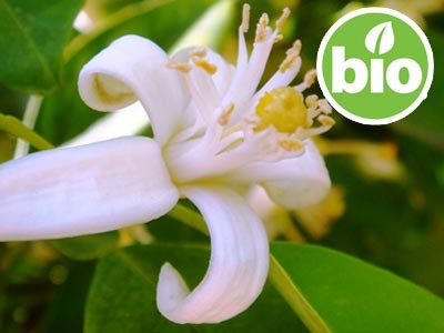 Organic Neroli