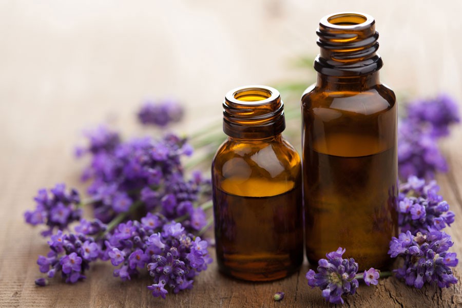 Lavender from Spain