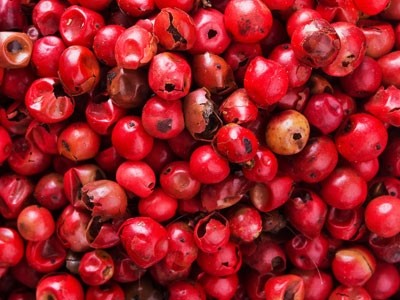 Pink Pepper Essential Oil