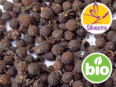 Sil Timur Berry Essential Oil - Wild
