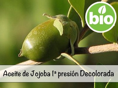 Organic 1st-press Decolourised Jojoba Oil
