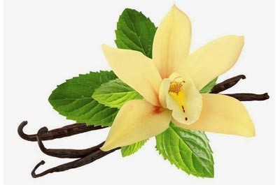 Spiced Vanilla Flavouring