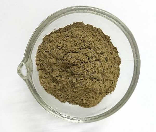 Brahmi Powder