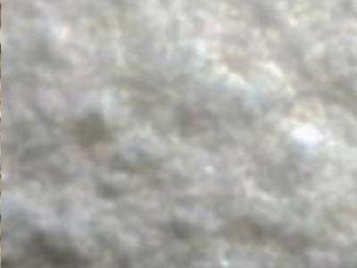 Glyceryl Stearate Citrate Emulsifier - Cosmos