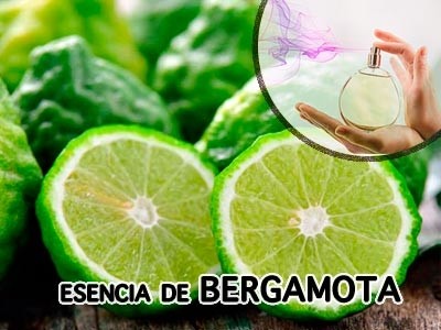 Bergamot Fragrance