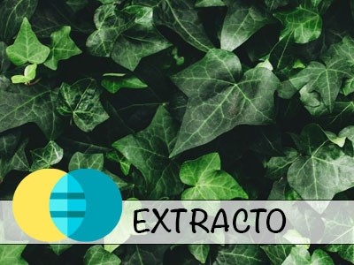 Ivy Extract - Water-Glycerine Extract