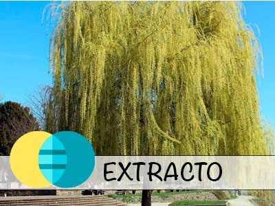 Organic Liquid Willow Extract - Water-Glycerine Extract.
