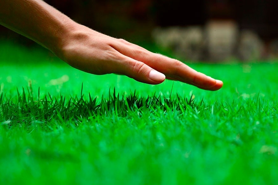 Freshly Cut Grass Fragrance