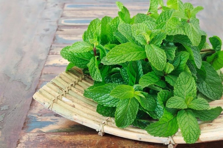 Spearmint Fragrance