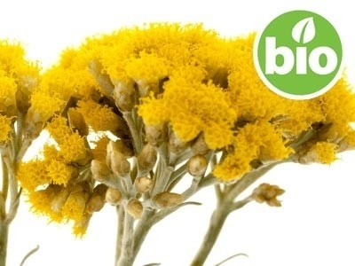 Organic Yellow Everlasting Hydrolat - Microfiltered