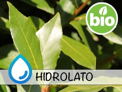 Organic Bay Hydrolat - Microfiltered