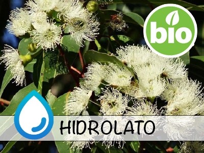 Organic Eucalyptus Hydrolat