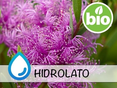 Organic Honey Myrtle Hydrolat