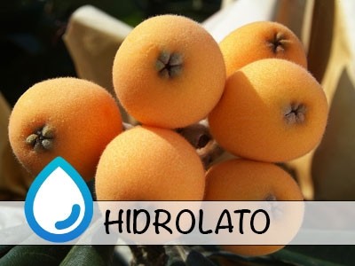 Loquat Hydrolat