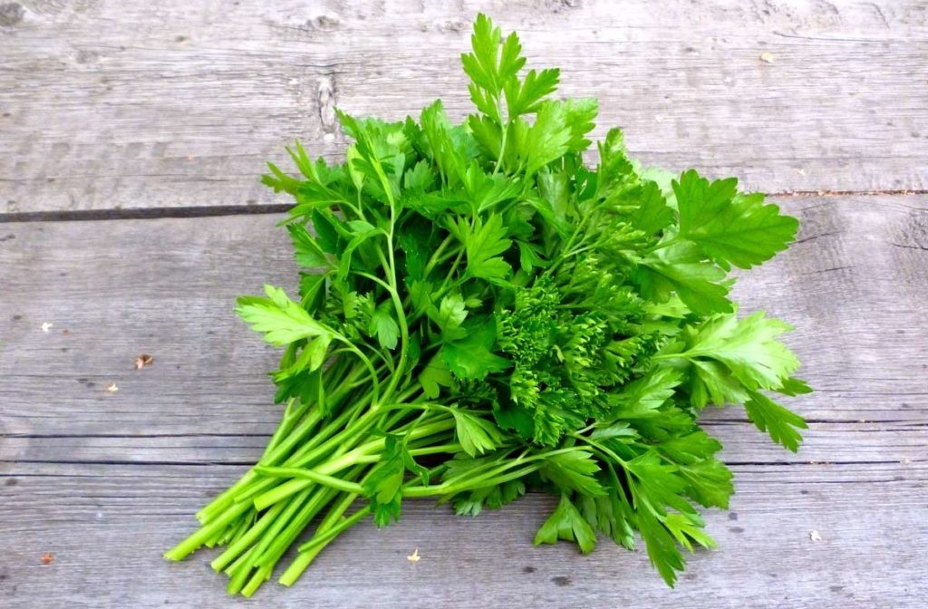 Parsley Essential Oil