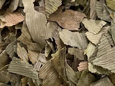 Cut Ginkgo biloba Leaves