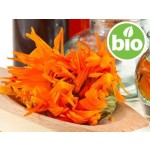 Organic Calendula Oil in Organic Olive Oil