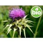 Organic Milk Thistle Oil - 1st Pressing