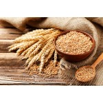 Virgin Wheat Germ Oil, 1st Pressed