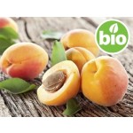 Organic Apricot Kernel Oil - 1st Pressing