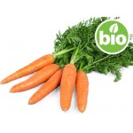 Organic Carrot Oil in Organic Sesame Oil