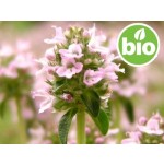 Organic Common Thyme Essential Oil - CT Linalool