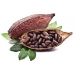 Natural Cocoa Flavouring