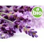 Organic Fine Lavender Hydrolat - Microfiltered