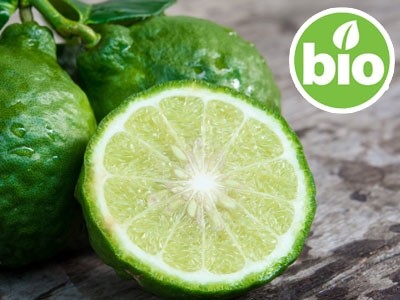 Organic Bergamot Essential Oil