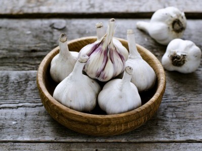 Garlic Essential Oil