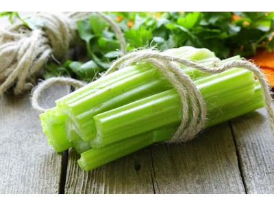 Celery Essential Oil
