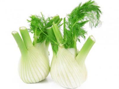 Bitter Fennel Essential Oil