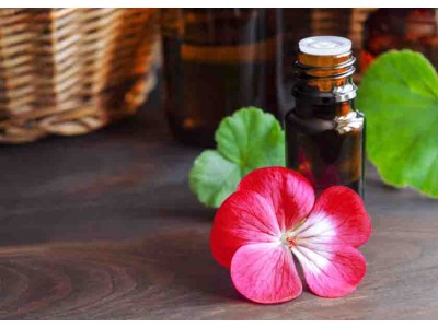 Egyptian Geranium Essential Oil