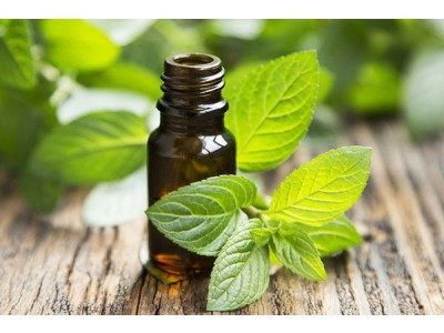 Peppermint Essential Oil