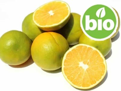 Organic Mexican Orange Essential Oil