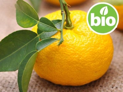 Organic Yuzu Essential Oil
