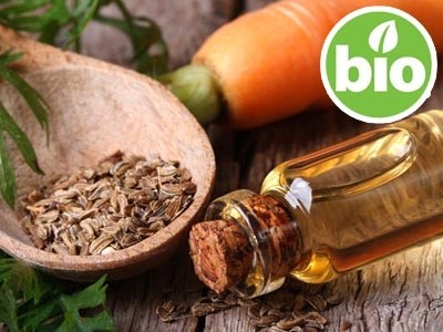 Organic Carrot Essential Oil - Ct. β Bisabolene