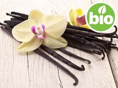 Premium Organic Vanilla Oleoresin - Enfleurage in Shea Butter