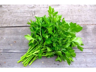 Parsley Essential Oil
