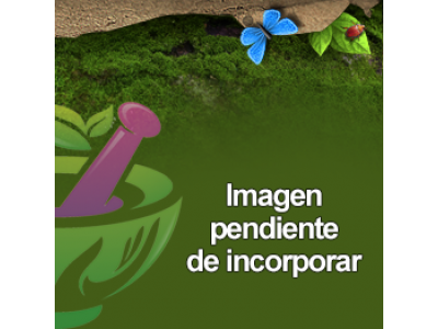 Allspice Essential Oil