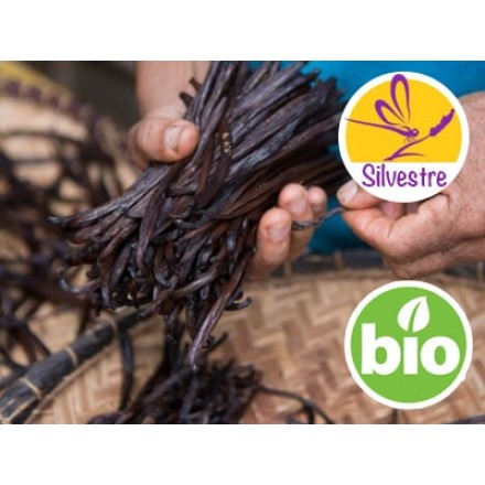 Premium Natural Organic Bourbon Vanilla Pods