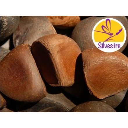 Wild and Organic Andiroba Oil