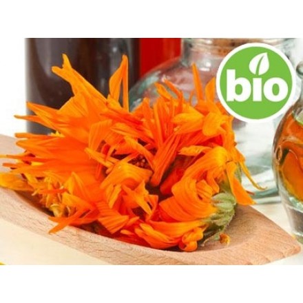 Organic Calendula Oil in Organic Olive Oil