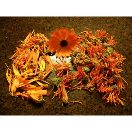 Calendula Oil